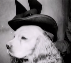 dogs-in-clothes-30s