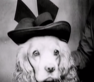dogs-in-clothes-30s